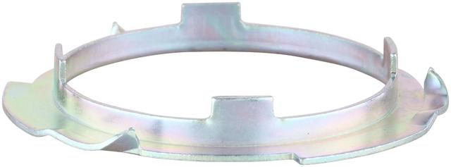 Delphi Fuel Tank Lock Ring (PN9005)